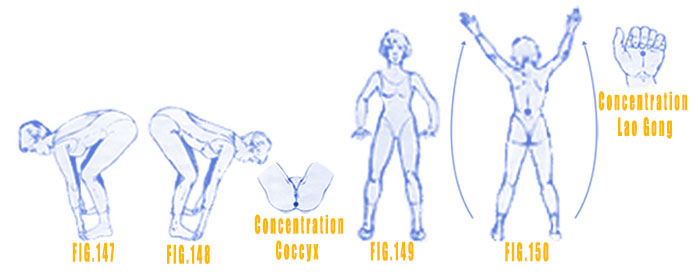 Les 2 mains rejoignant les pieds renforcent la taille et les reins