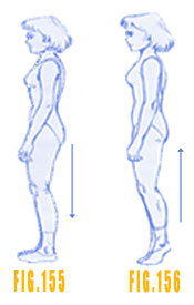 Se soulever sur la pointe des pieds régularise les 6 grands méridiens