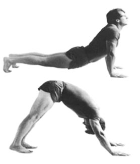 Le Cinquième Tibétain